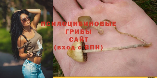ешки Абинск