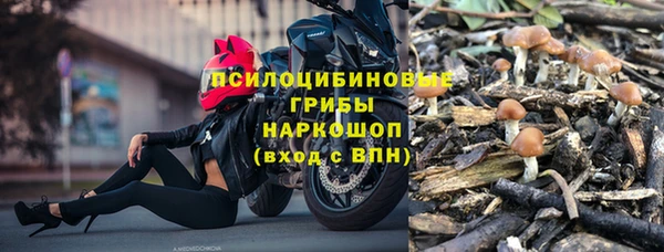 ешки Абинск